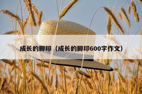 成长的脚印（成长的脚印600字作文）