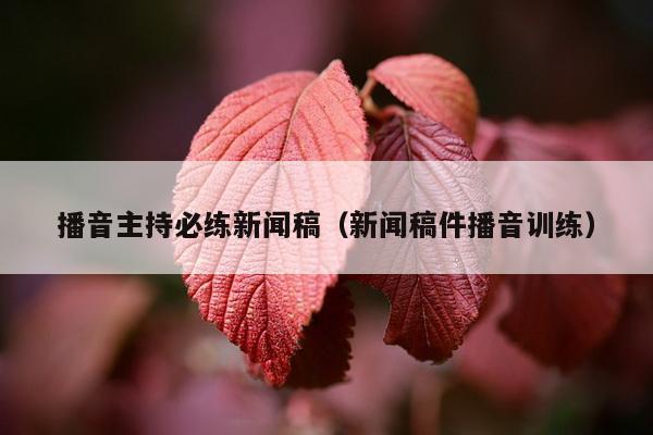 播音主持必练新闻稿（新闻稿件播音训练）