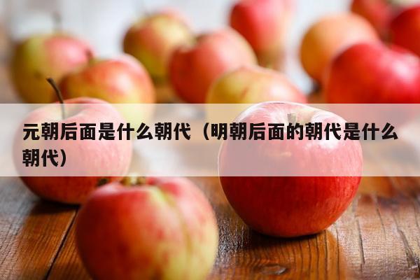 元朝后面是什么朝代（明朝后面的朝代是什么朝代）