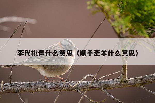 李代桃僵什么意思（顺手牵羊什么意思）