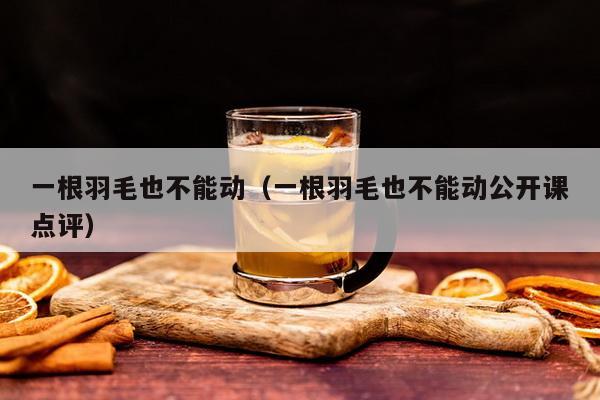 一根羽毛也不能动（一根羽毛也不能动公开课点评）