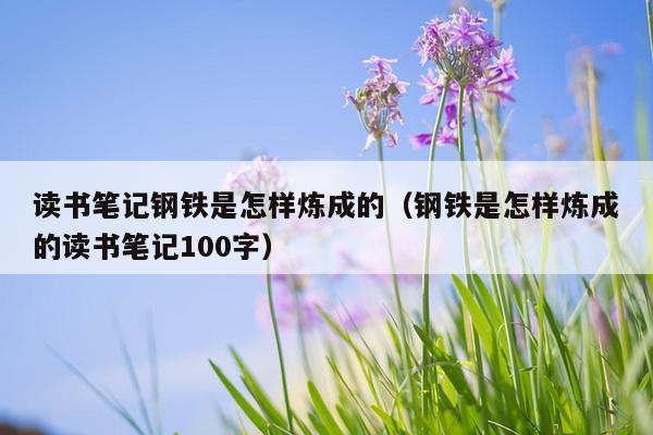 读书笔记钢铁是怎样炼成的（钢铁是怎样炼成的读书笔记100字）