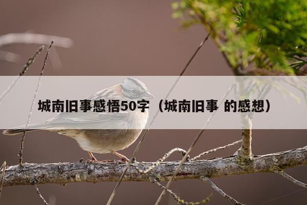 城南旧事感悟50字（城南旧事 的感想）