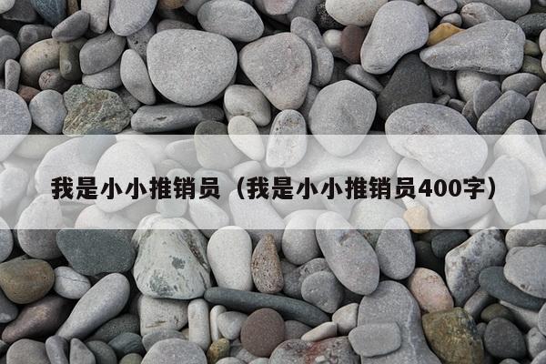 我是小小推销员（我是小小推销员400字）