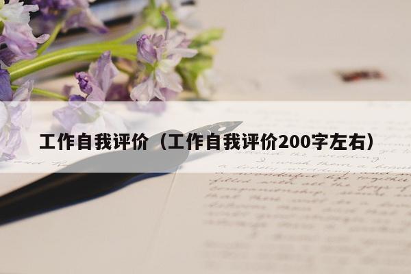 工作自我评价（工作自我评价200字左右）