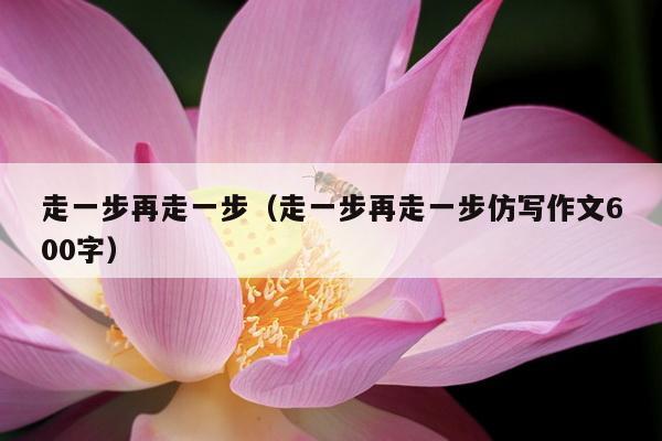 走一步再走一步（走一步再走一步仿写作文600字）