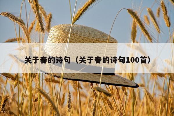 关于春的诗句（关于春的诗句100首）