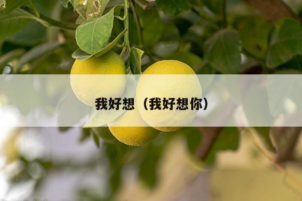 我好想（我好想你）