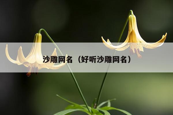 沙雕网名（好听沙雕网名）