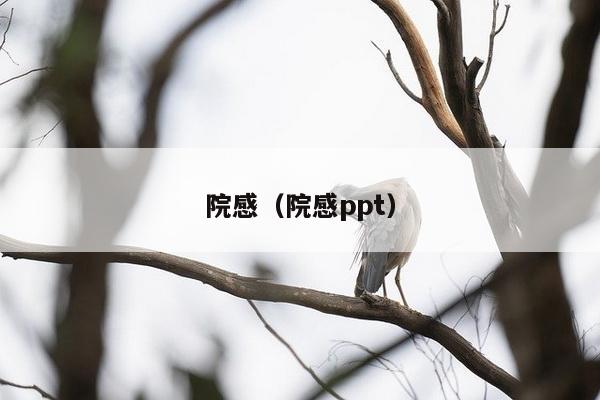 院感（院感ppt）