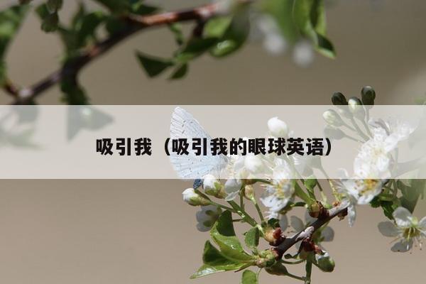 吸引我（吸引我的眼球英语）