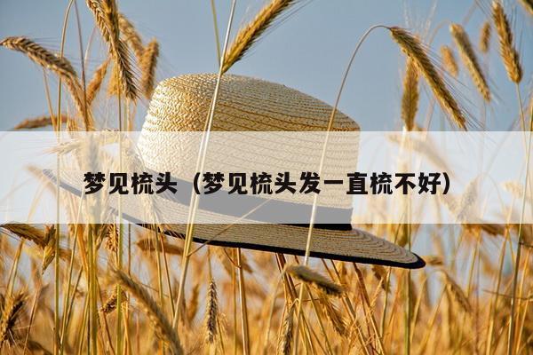 梦见梳头（梦见梳头发一直梳不好）