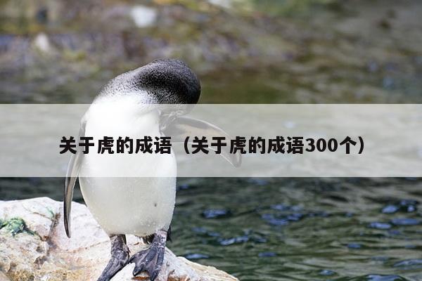 关于虎的成语（关于虎的成语300个）