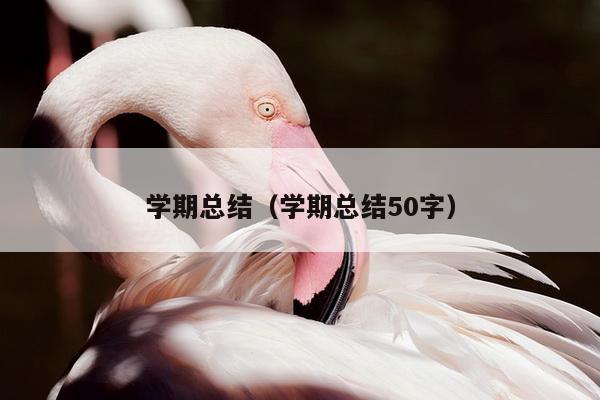 学期总结（学期总结50字）