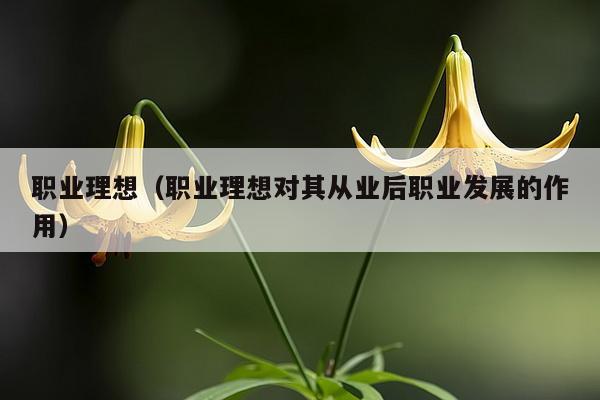 职业理想（职业理想对其从业后职业发展的作用）