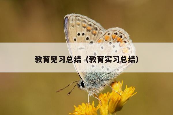 教育见习总结（教育实习总结）