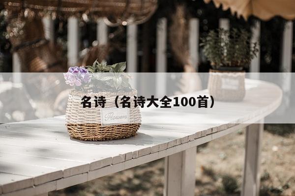 名诗（名诗大全100首）