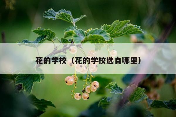 花的学校（花的学校选自哪里）