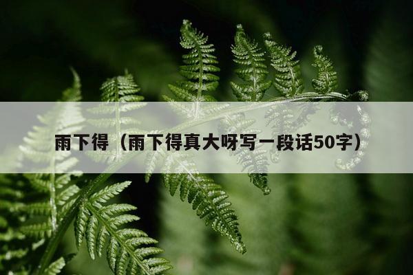 雨下得（雨下得真大呀写一段话50字）