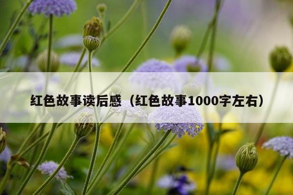 红色故事读后感（红色故事1000字左右）