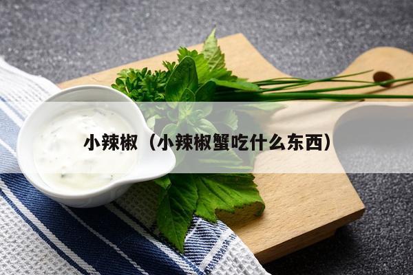 小辣椒（小辣椒蟹吃什么东西）