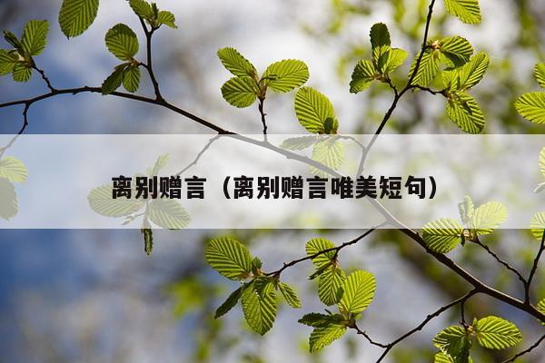 离别赠言（离别赠言唯美短句）