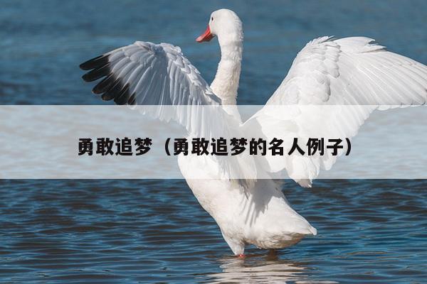 勇敢追梦（勇敢追梦的名人例子）