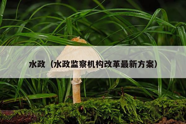 水政（水政监察机构改革最新方案）