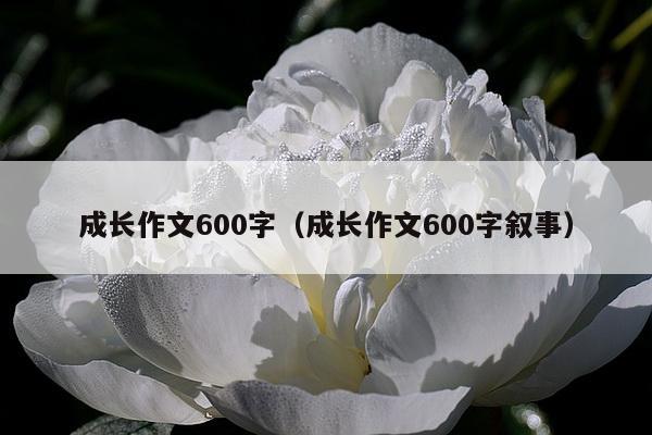 成长作文600字（成长作文600字叙事）