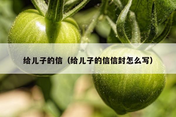 给儿子的信（给儿子的信信封怎么写）