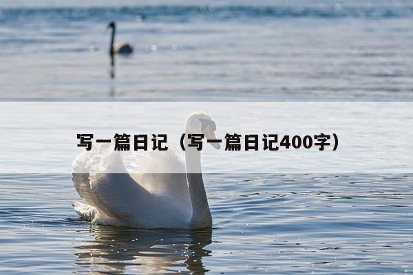 写一篇日记（写一篇日记400字）