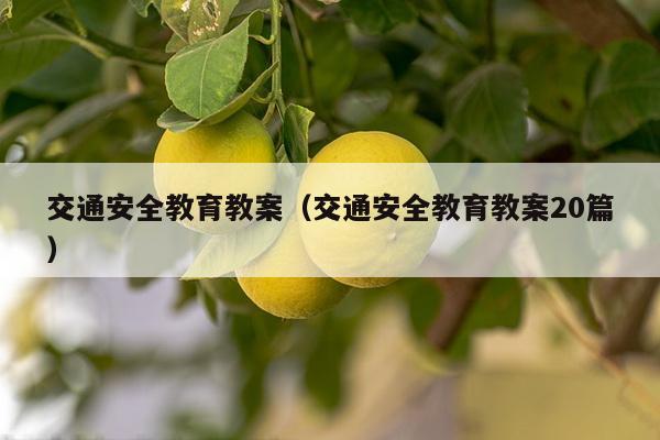 交通安全教育教案（交通安全教育教案20篇）