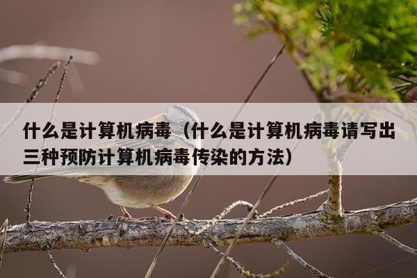 什么是计算机病毒（什么是计算机病毒请写出三种预防计算机病毒传染的方法）