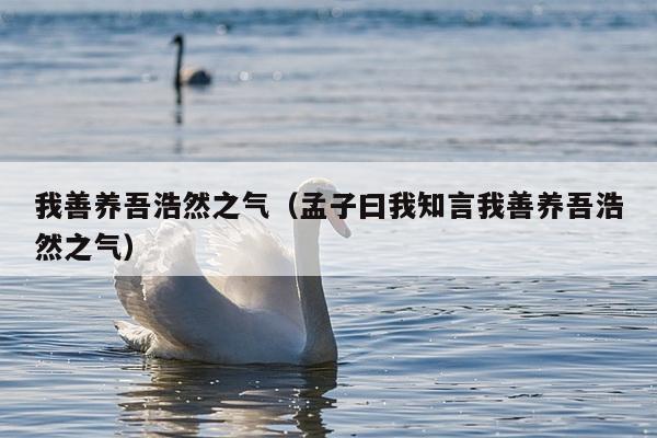 我善养吾浩然之气（孟子曰我知言我善养吾浩然之气）