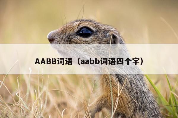 AABB词语（aabb词语四个字）