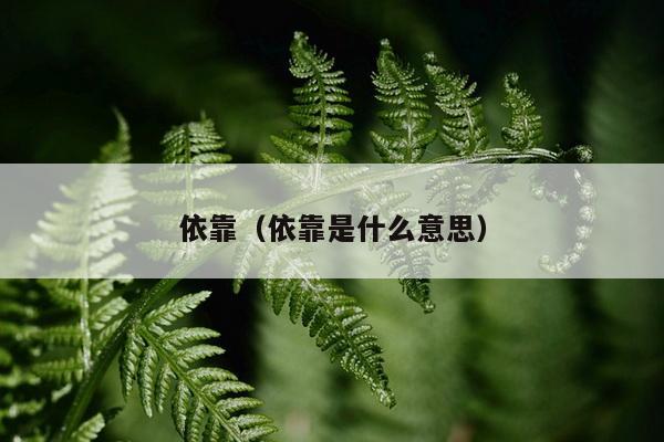 依靠（依靠是什么意思）