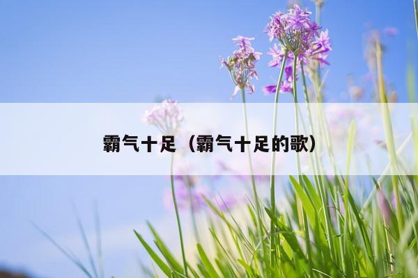 霸气十足（霸气十足的歌）