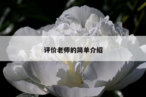 评价老师的简单介绍