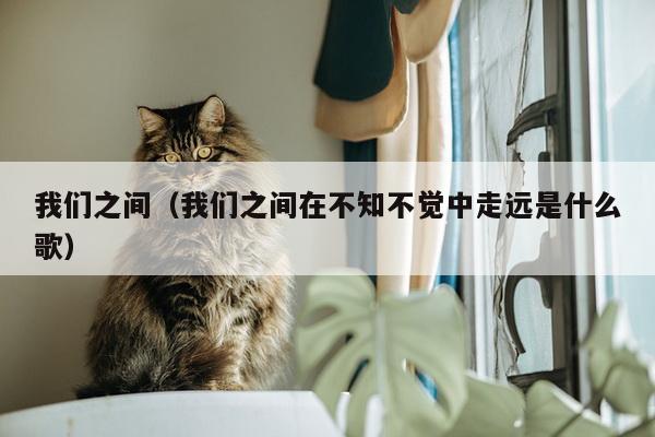 我们之间（我们之间在不知不觉中走远是什么歌）