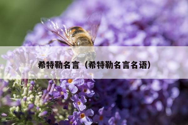 希特勒名言（希特勒名言名语）