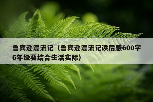 鲁宾逊漂流记（鲁宾逊漂流记读后感600字6年级要结合生活实际）