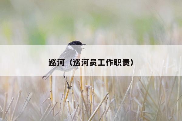 巡河（巡河员工作职责）