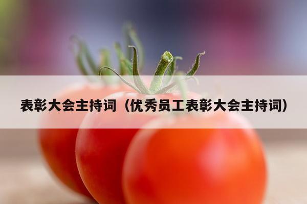 表彰大会主持词（优秀员工表彰大会主持词）