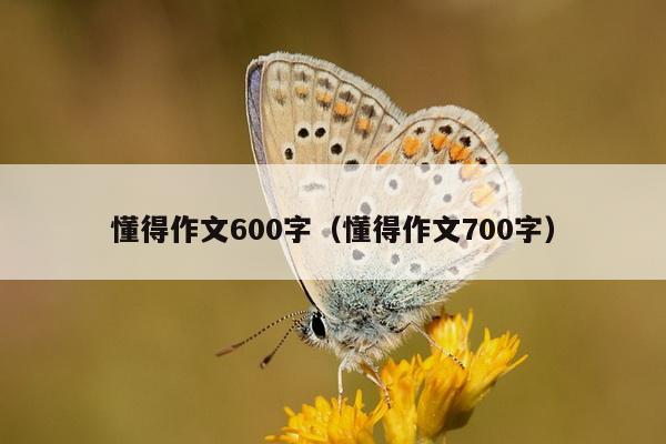 懂得作文600字（懂得作文700字）