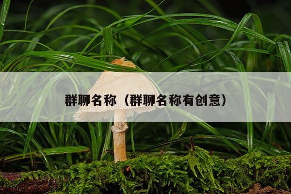 群聊名称（群聊名称有创意）