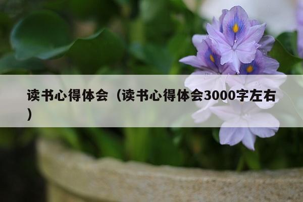 读书心得体会（读书心得体会3000字左右）