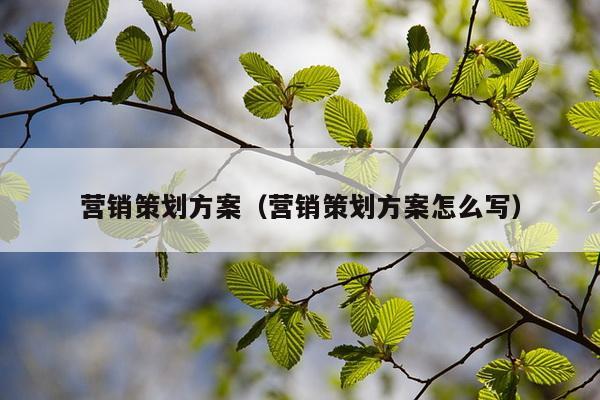 营销策划方案（营销策划方案怎么写）