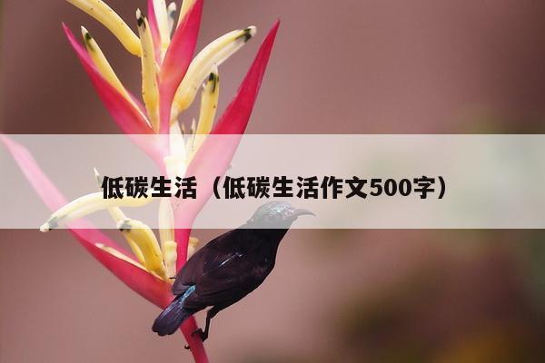 低碳生活（低碳生活作文500字）