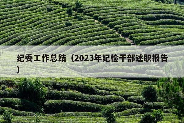 纪委工作总结（2023年纪检干部述职报告）