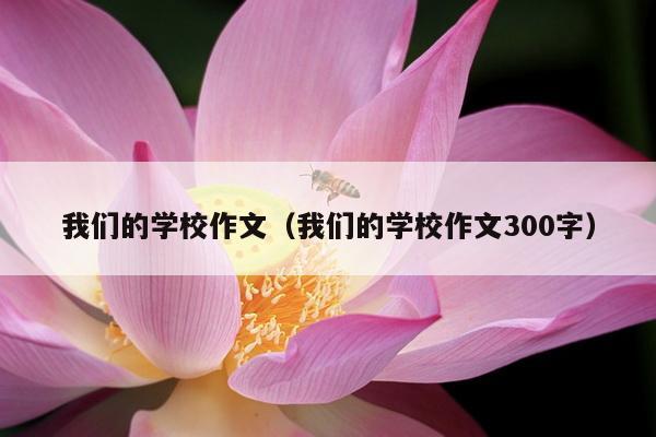 我们的学校作文（我们的学校作文300字）